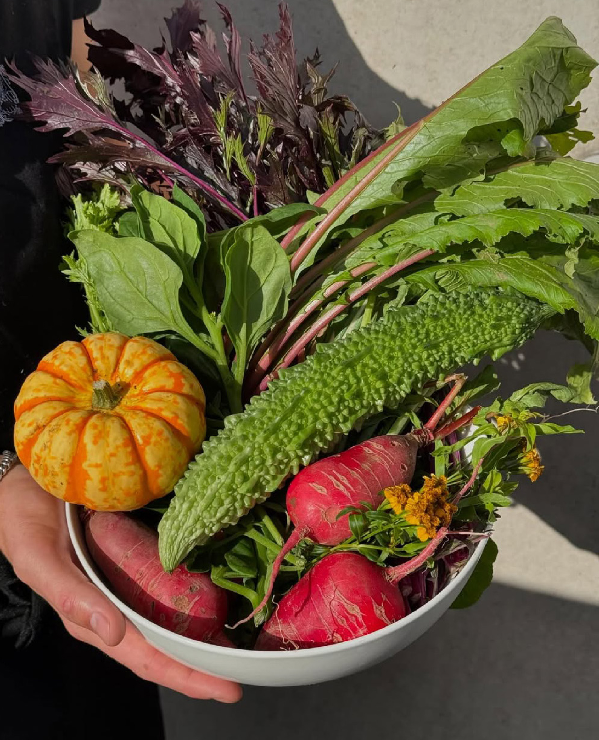 Vegatables used in Chefs dishes